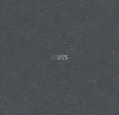 Forbo Marmoleum Solid Cocoa 3583-358335 chocolate blues фото 1 | FLOORDEALER